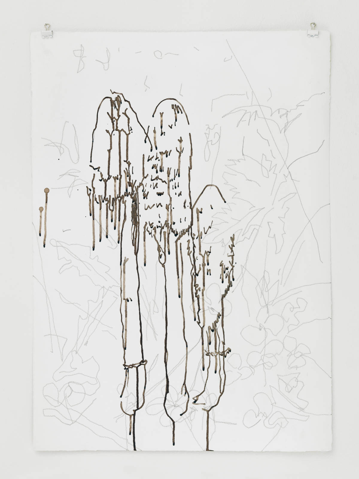 Mirko Baselgia autolyse - coprinus comatus 2018