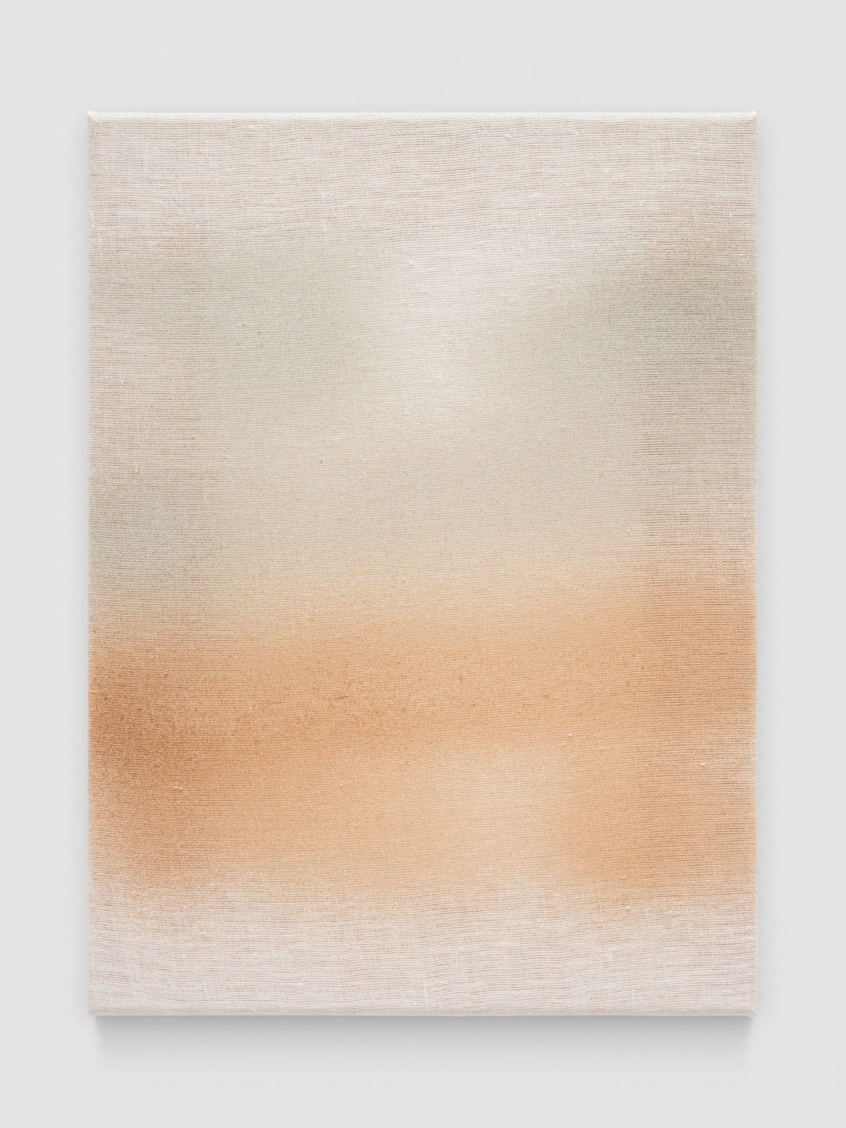 Mirko Baselgia pigmment interaction III 2026